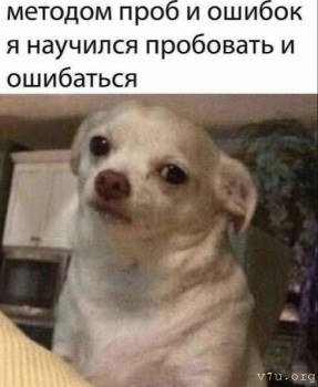 Юмор - image.jpg