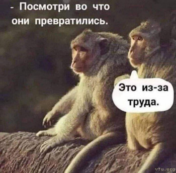 Юмор - image.jpg