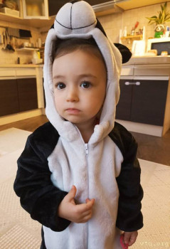 Второй раз в ту же реку  - IMG_20241029_201253.jpg