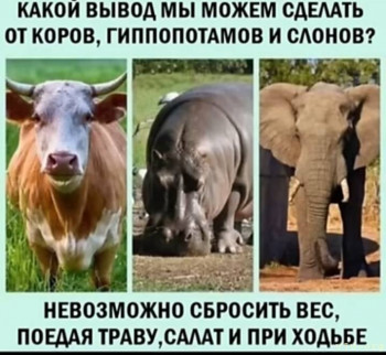 Юмор - Screenshot_20241101_015512.jpg