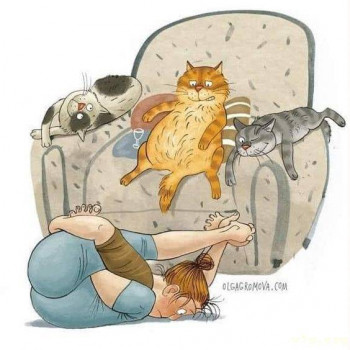 Юмор - image.jpg