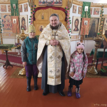 Рубина - 9 лет., Вологодская обл. - image.jpg