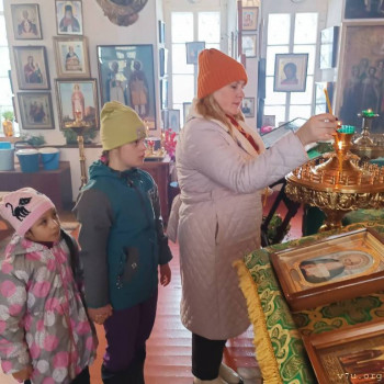 Рубина - 9 лет., Вологодская обл. - image.jpg