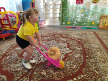 Настя и Ева - Челябинская обл. 4 и 3 года  - image.jpg