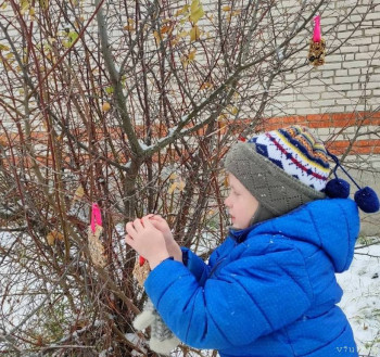 Савушка - 7 лет, Вологодская обл. - image.jpg