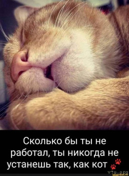 Юмор - IMG-20241130-WA0133.jpg