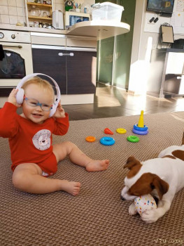 Второй раз в ту же реку  - IMG_20241102_130037.jpg