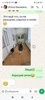 Второй раз в ту же реку  - Screenshot_2024-11-26-11-16-39-474_com.whatsapp.jpg