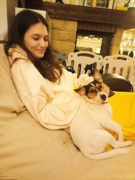 Второй раз в ту же реку  - IMG_20241126_212449.jpg