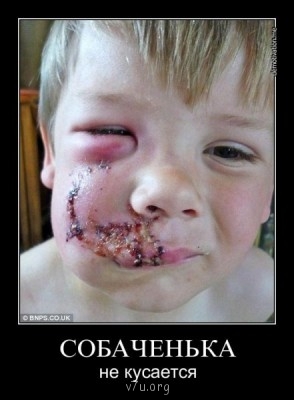 Сироты будут выбирать приемные семьи САМИ - 64789_600.jpg