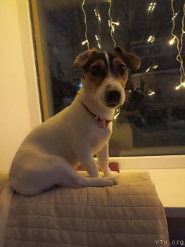 Второй раз в ту же реку  - IMG_20241214_171051.jpg