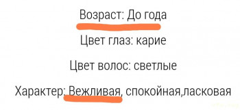 Юмор - Screenshot_2024-12-17-16-30-51-538-edit_com.android.chrome.jpg