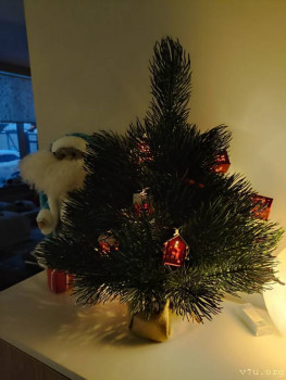 Второй раз в ту же реку  - IMG_20241217_162143.jpg