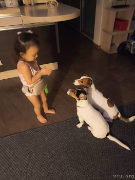 Второй раз в ту же реку  - IMG_20241219_193336.jpg