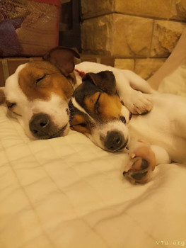 Второй раз в ту же реку  - IMG_20241221_182606.jpg