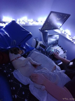 Второй раз в ту же реку  - IMG_20241222_110814_678.jpg