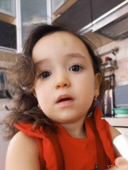 Второй раз в ту же реку  - IMG_20241222_124051.jpg