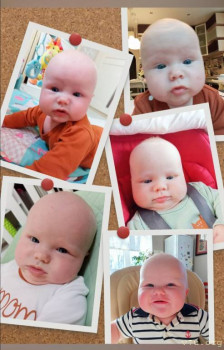 Второй раз в ту же реку  - IMG_20241224_000507.jpg