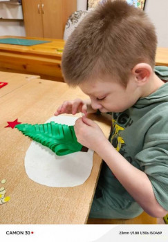 Иван, 7 лет, Карелия - image.jpg