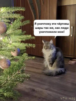 Юмор - IMG_2377.jpeg