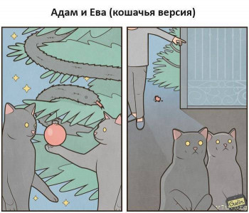 Юмор - IMG_2378.jpeg