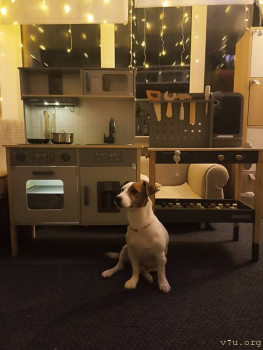 Второй раз в ту же реку  - IMG_20241230_234910.jpg