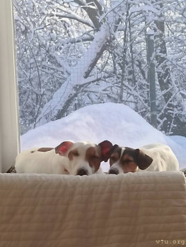 Второй раз в ту же реку  - IMG_20241231_143923.jpg