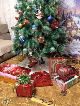 Розовые пони - IMG_20250101_215639.jpg