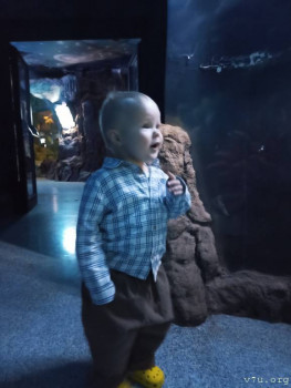 Второй раз в ту же реку  - IMG_20250103_175620.jpg