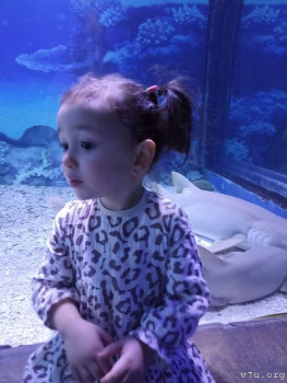 Второй раз в ту же реку  - IMG_20250103_192943_341.jpg