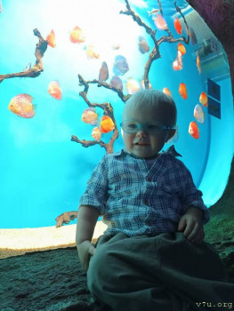 Второй раз в ту же реку  - IMG_20250103_180253.jpg