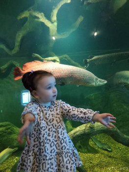 Второй раз в ту же реку  - IMG_20250103_192943_634.jpg