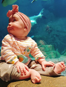 Второй раз в ту же реку  - IMG20230121184704_01.jpg