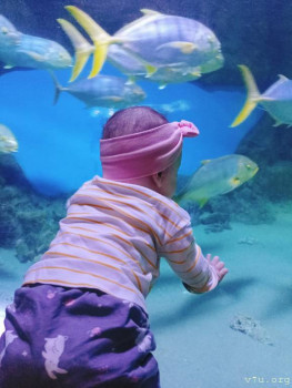 Второй раз в ту же реку  - IMG20230121183919_01.jpg