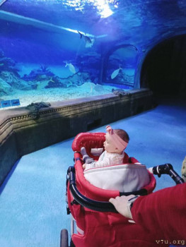 Второй раз в ту же реку  - IMG20230121184416_01.jpg