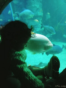 Второй раз в ту же реку  - IMG_20250105_173009_252.jpg