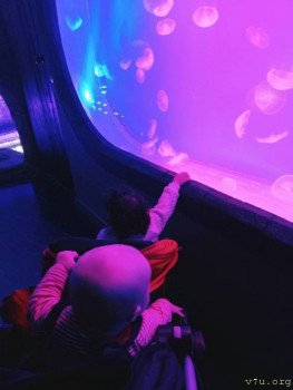 Второй раз в ту же реку  - IMG_20250105_173150_926.jpg