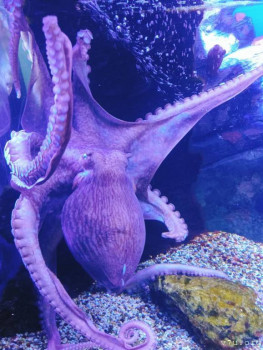 Второй раз в ту же реку  - IMG_20250105_172833_303.jpg