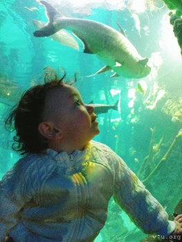 Второй раз в ту же реку  - IMG_20250105_172631_827.jpg