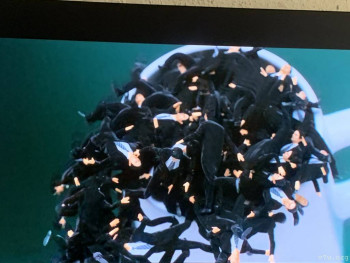 Фильмы - AB70508F-AAF9-43FA-9D27-DC176770B6D5.jpeg