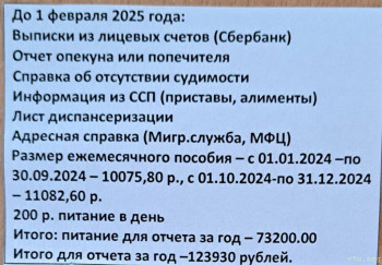 Отчет опекуна 2019 - IMG_20250111_163323_630.jpg