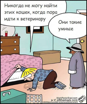 Юмор - 469977761_505603415870980_4218449563958885189_n.jpg