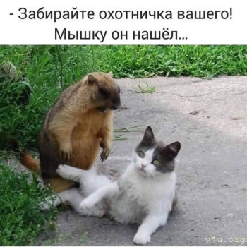 Юмор - 469265347_968022598558511_8734659414116046815_n.jpg