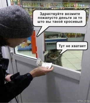 Юмор - IMG_20250112_010908_294.jpg