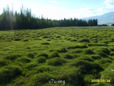 Природа наших мест - S5004660.JPG