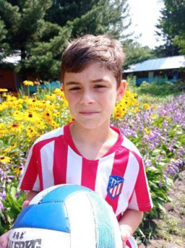 Паровозики в усыновление - image.jpg