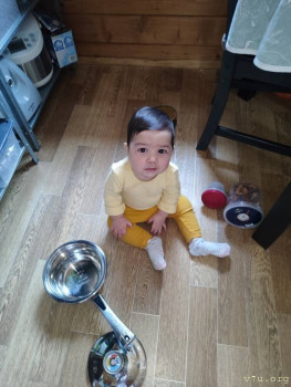 Вторая хозяйка появилась на кухне