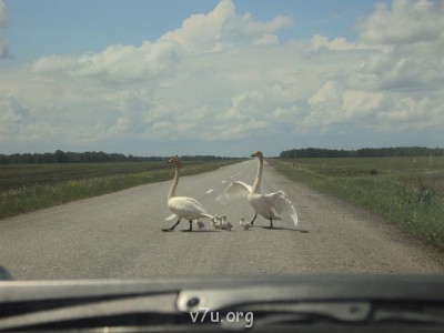 Генератор хорошего настроения - image (4).jpg