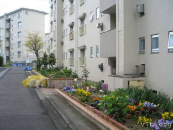 МЕшки  под  сеткой  это мусор  сетка чтоб  вороны  не  порвали  приезжают  бравые  парни  в белых  перчатках  и  мусор  увозят