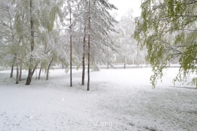 вот такая красота у нас под окном)